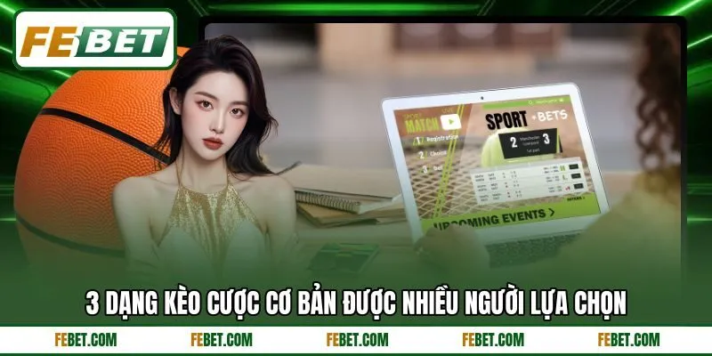 3 dạng kèo cược cơ bản được nhiều người lựa chọn 3 dạng kèo cược cơ bản được nhiều người lựa chọn