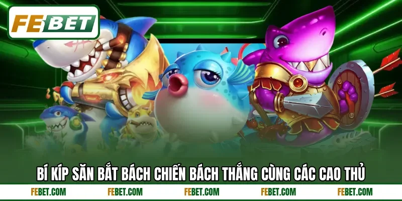 Bí kíp săn bắt bách chiến bách thắng cùng các cao thủ