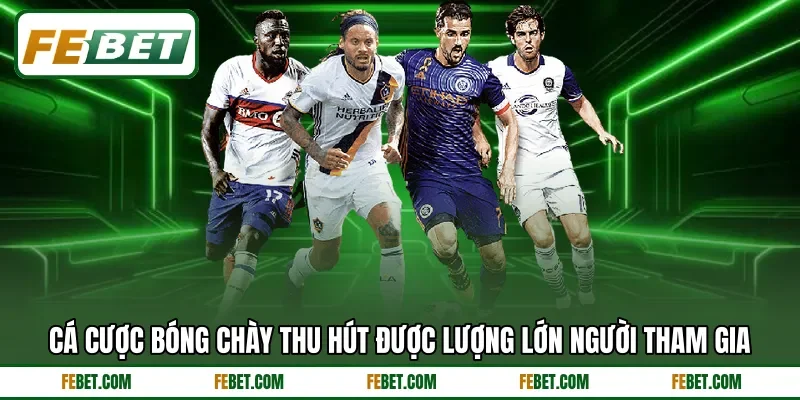 Cá cược bóng chày thu hút được lượng lớn người tham gia