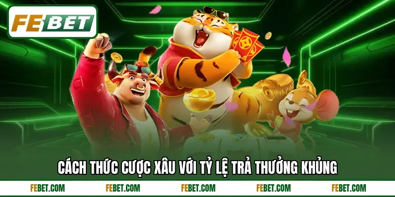 Cách thức cược xâu với tỷ lệ trả thưởng khủng