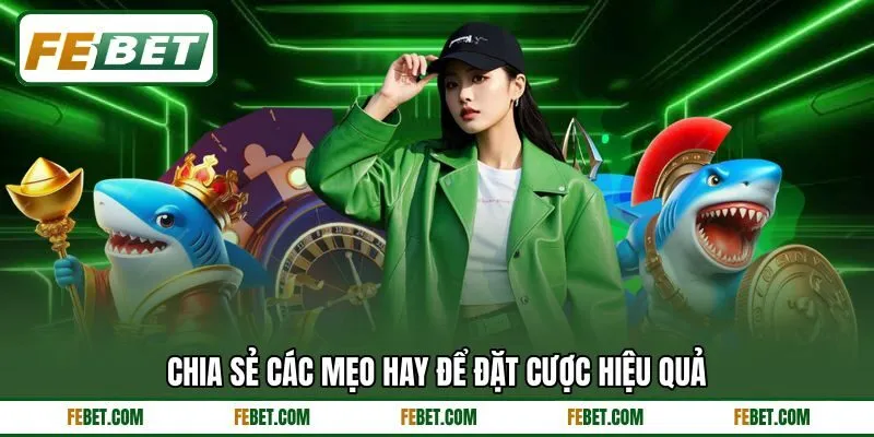 Chia sẻ các mẹo hay để đặt cược hiệu quả