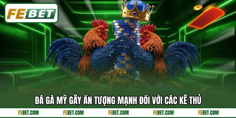 Đá gà Mỹ gây ấn tượng mạnh đối với các kê thủ