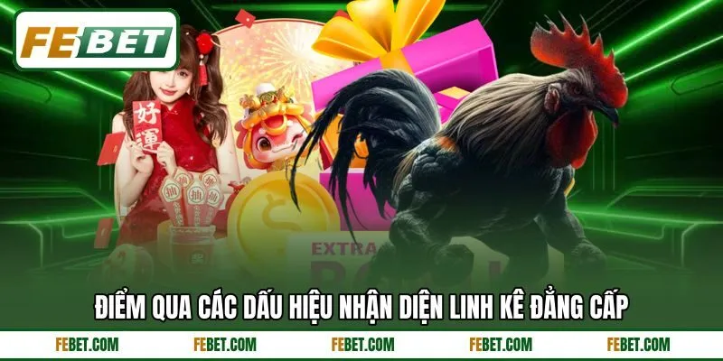 Điểm qua các dấu hiệu nhận diện linh kê đẳng cấp
