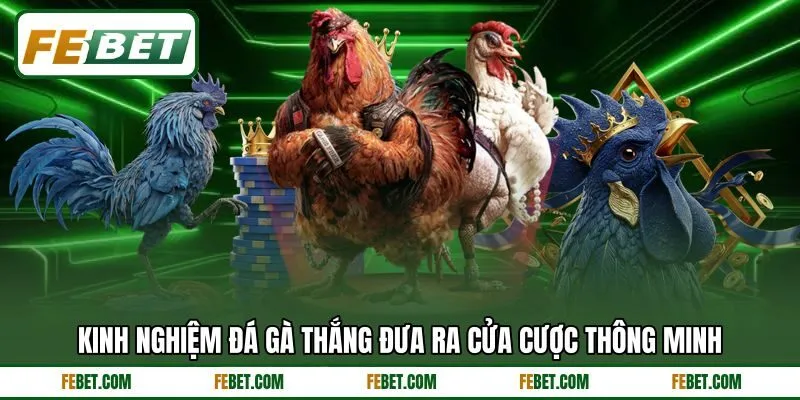 Kinh nghiệm đá gà thắng đưa ra cửa cược thông minh