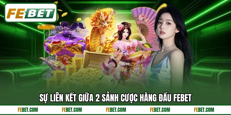 Sự liên kết giữa 2 sảnh cược hàng đầu FEBET